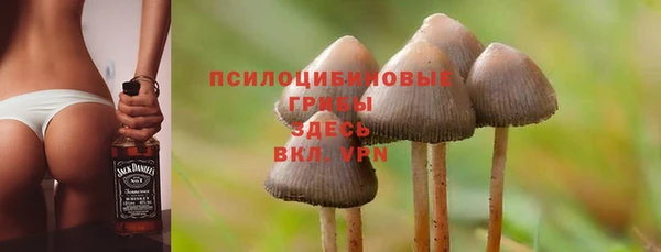 спиды Алексеевка