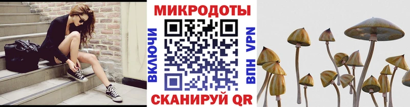 Псилоцибиновые грибы Magic Shrooms  где купить наркотик  Мичуринск 